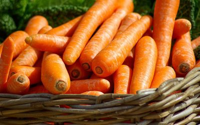 carrots-g6cfe47625_1920