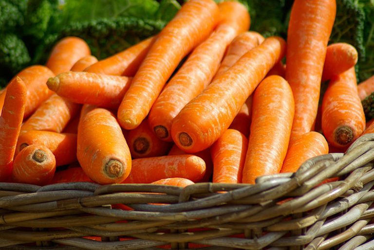 carrots-g6cfe47625_1920