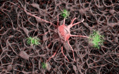 nerve-cells-5901770_1920