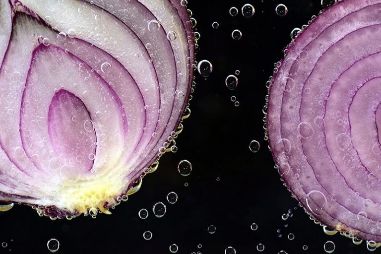 onion-2699531_1920