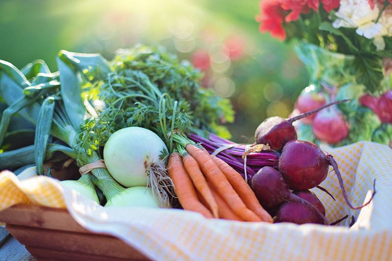 vegetables-2485055_1920