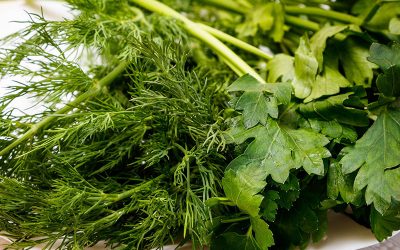 dill-g3f244ab0e_1920