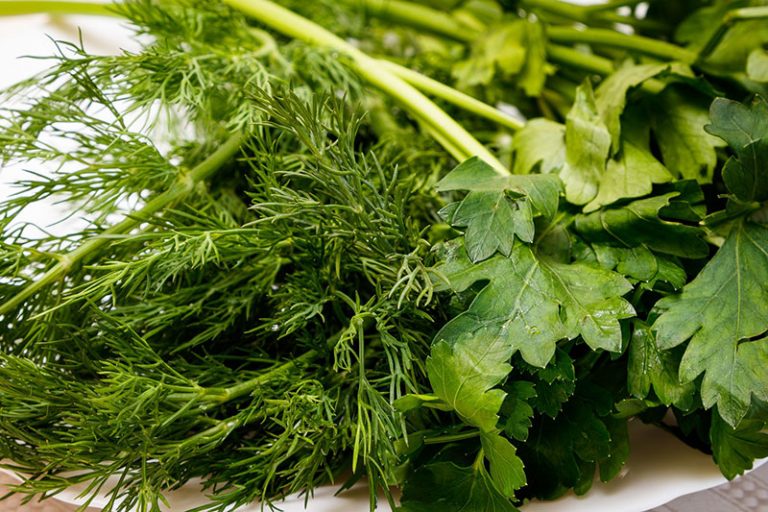 dill-g3f244ab0e_1920