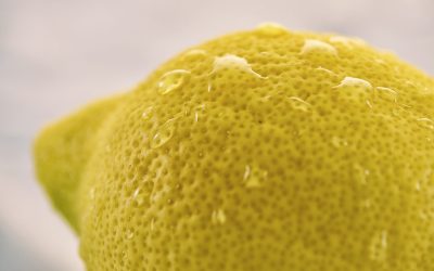 fruit-7285326_960_720