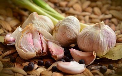 garlic-1336883_960_720