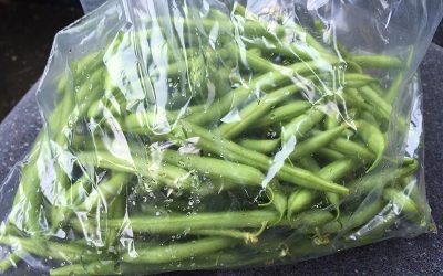 green-beans-g046486943_1920