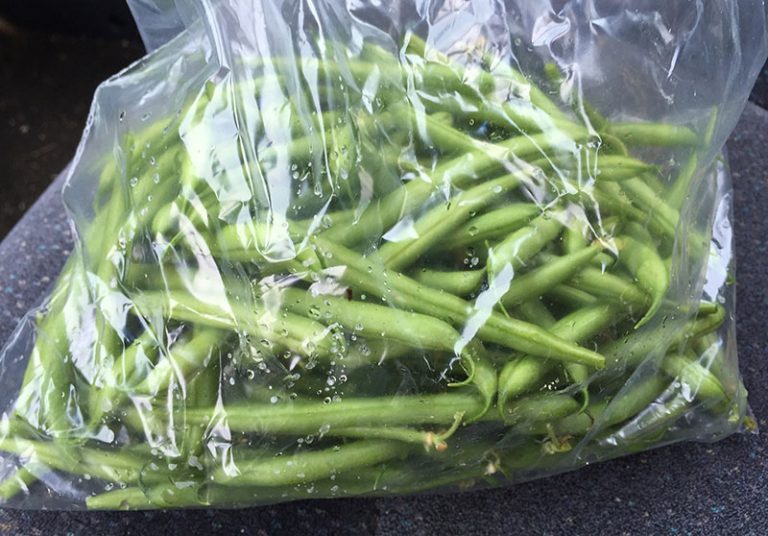 green-beans-g046486943_1920