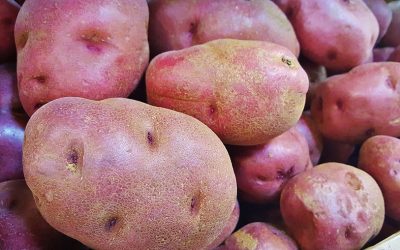 red-potatoes-gd8a4cef5b_1920