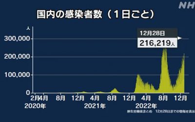 sdvdsfb