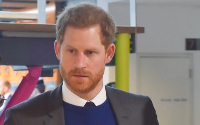 41014635231_6f15391f22_o