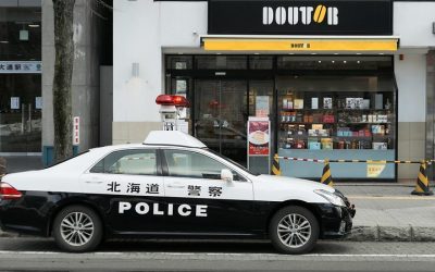 49661328937_dec2176353_c