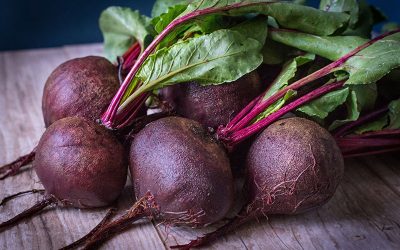 beets-g8410d3204_1920