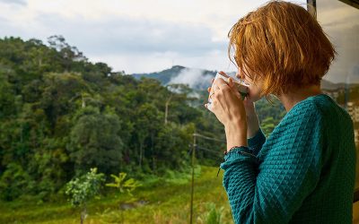 coffee-2439897_960_720