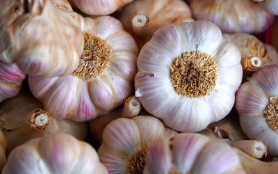 garlic-g6e5f2717f_1920