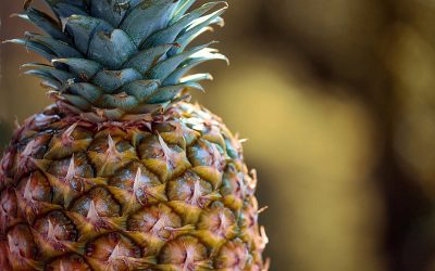 pineapple-4044698_960_720