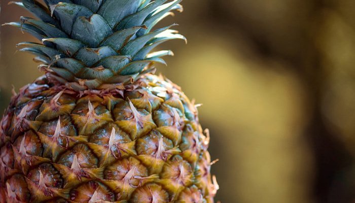 pineapple-4044698_960_720