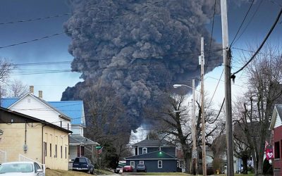 260665651_0_320_3073_2048_1920x0_80_0_0_b6176f30b237f246de9b4133a41581fe