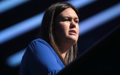 49290692076_7357bc3c1f_c