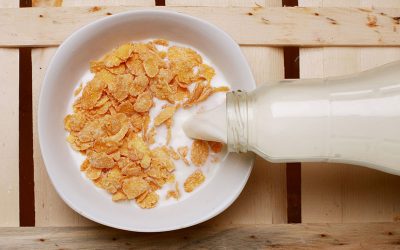 breakfast-cereal-g6c0aa8c60_1920