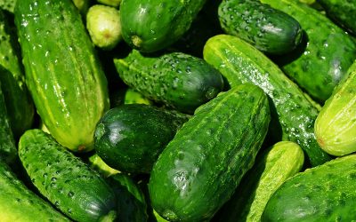cucumbers-g528e5cffb_1920