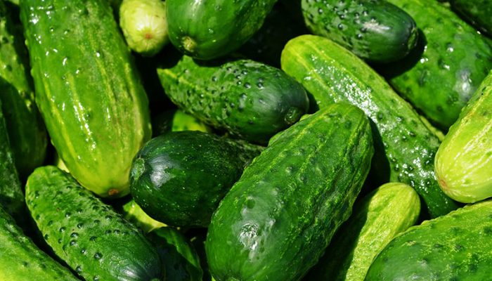 cucumbers-g528e5cffb_1920