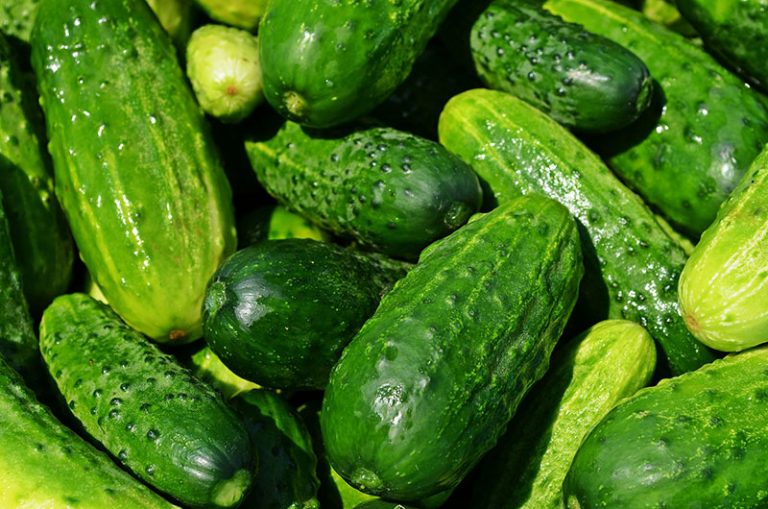cucumbers-g528e5cffb_1920