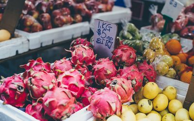 orange-g8a46de5e9_1920