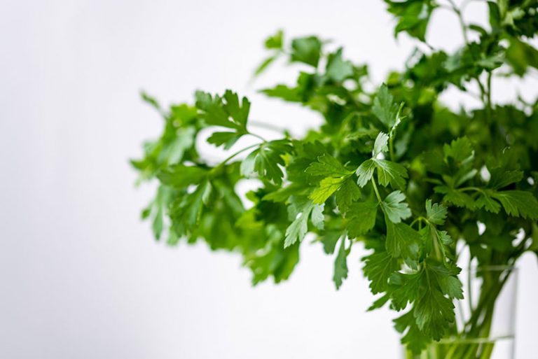 parsely-g7a955a673_1920