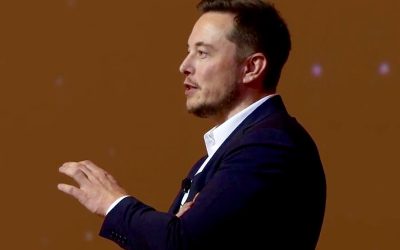 29680101130_5eeb088d46_o