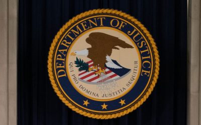 49656454717_ca705fd984_o