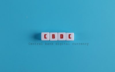 51081109033_7a194dd3bb_c