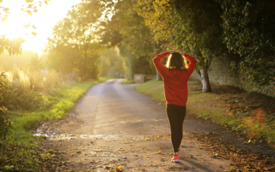 519F4A60-E8E2-4C0B-B57C-CD15C18C57A4