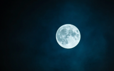 75A8A87E-C317-4461-8B61-B0D52C691E24