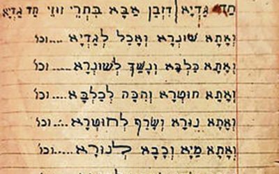 12185176_0_0_281_281_0_x-large