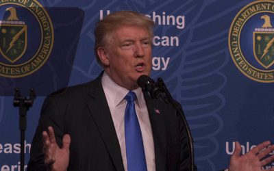 34895559244_b8d959446c_k