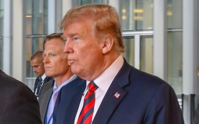 41551661440_b99fde5a95_o