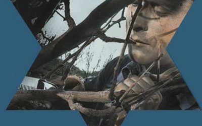 SHALEV_MEDVEDITSY_COLOR-1-2