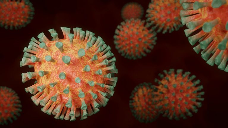 coronavirus-4972480_960_720