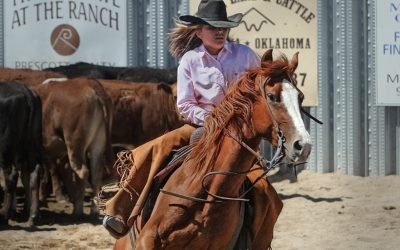 cowgirl-419084_960_720