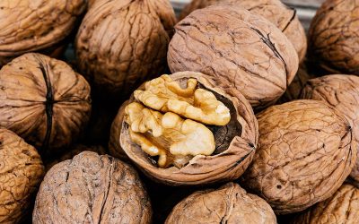 248582218_0_0_1920_1280_1440x900_80_0_1_a7c9c1caec22ce7355d6becdb8b6b06b