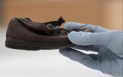 Snimok-ekrana-2023-05-19-v-10.45.46-kopiya