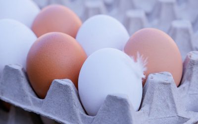 eggs-7478859_960_720