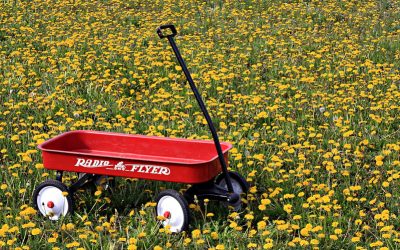 4613850370_8f4f0b13d5_c