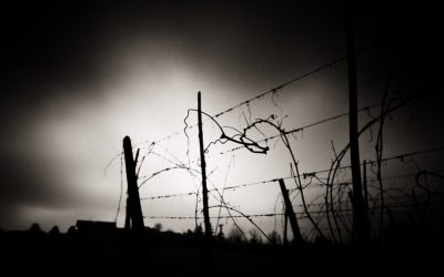 5393509062_3d21bf0160_c