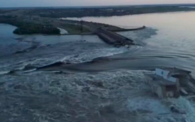 Screen Shot 2023-06-08 at 10.49.55