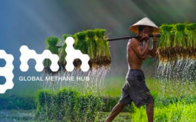 Screen Shot 2023-06-22 at 12.02.36