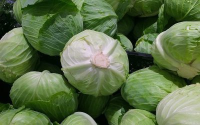 cabbage-1666765_1280