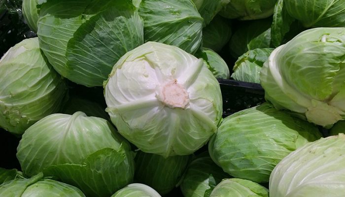 cabbage-1666765_1280