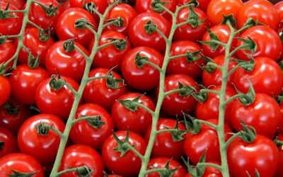 cherry-tomatoes-2340238_1280