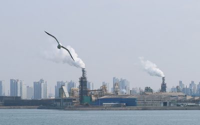 pollution-6075426_1280